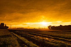 Country road at sunset