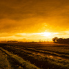 Country road at sunset