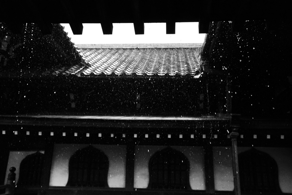 秋雨
