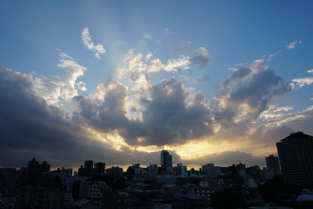 小石川の空