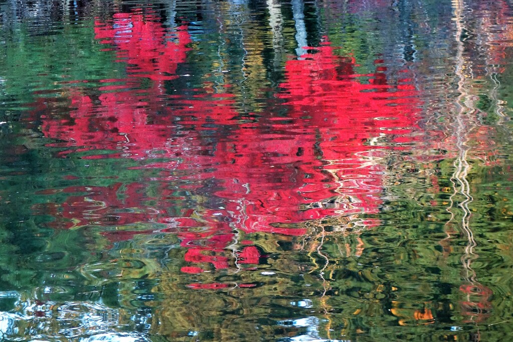 池面紅葉
