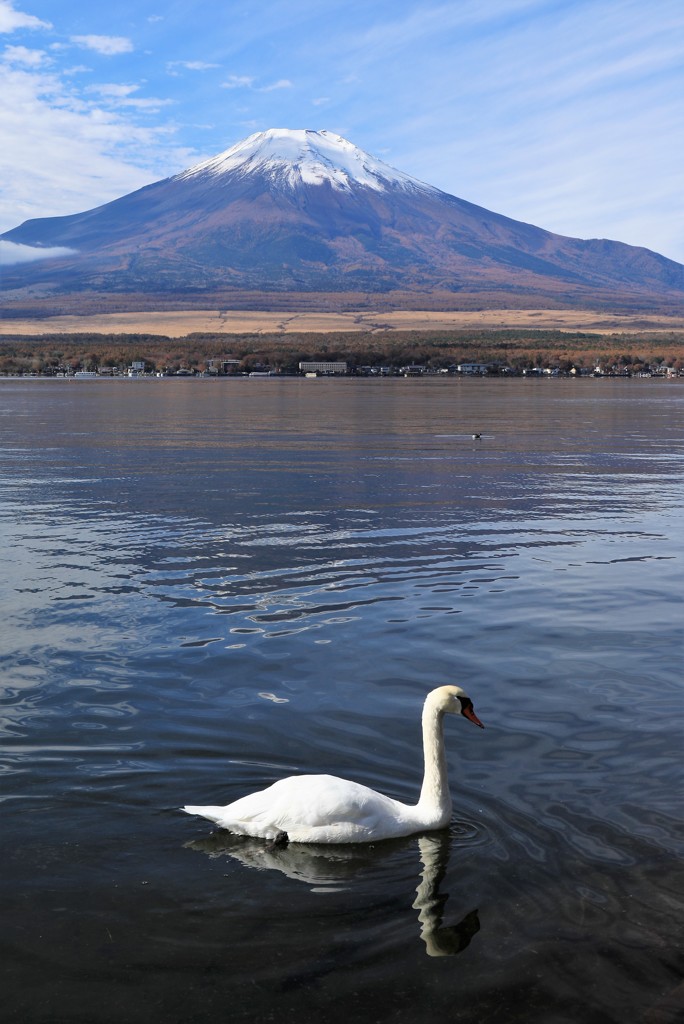 富士山　１