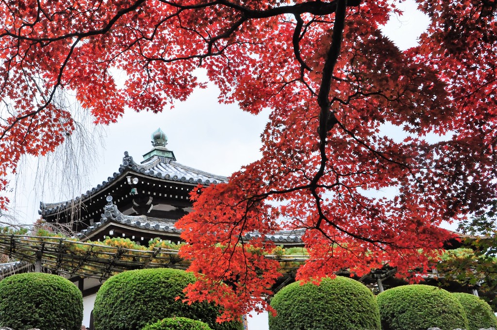 秋京都　５