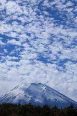 富士山　７