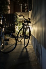光をまとった自転車