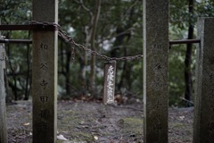 ルールは破るためにある！