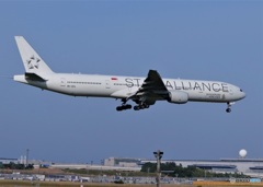 シンガポール航空・スタアラ塗装機　9V-SYL　B777-300