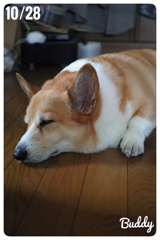 お昼寝？