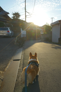 帰りましょう。