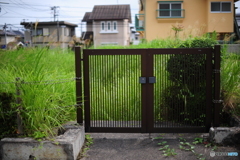 ただいま〜