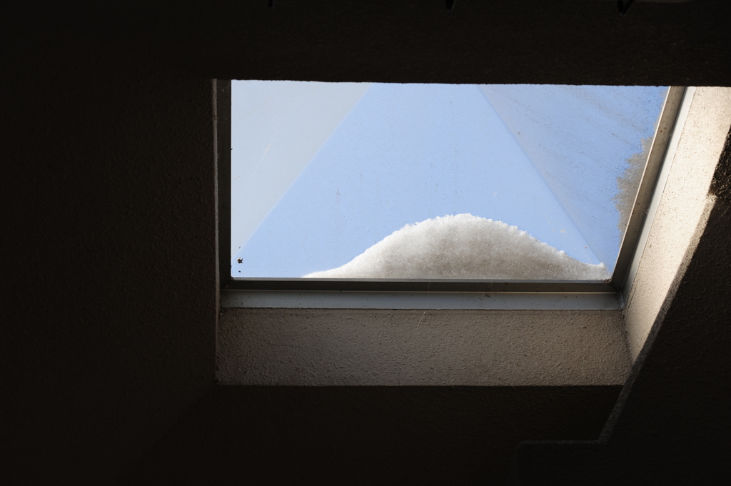 DSC_7236