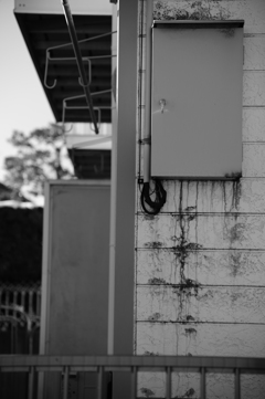 DSC_7297
