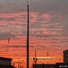 IMG_20191207_181151_683