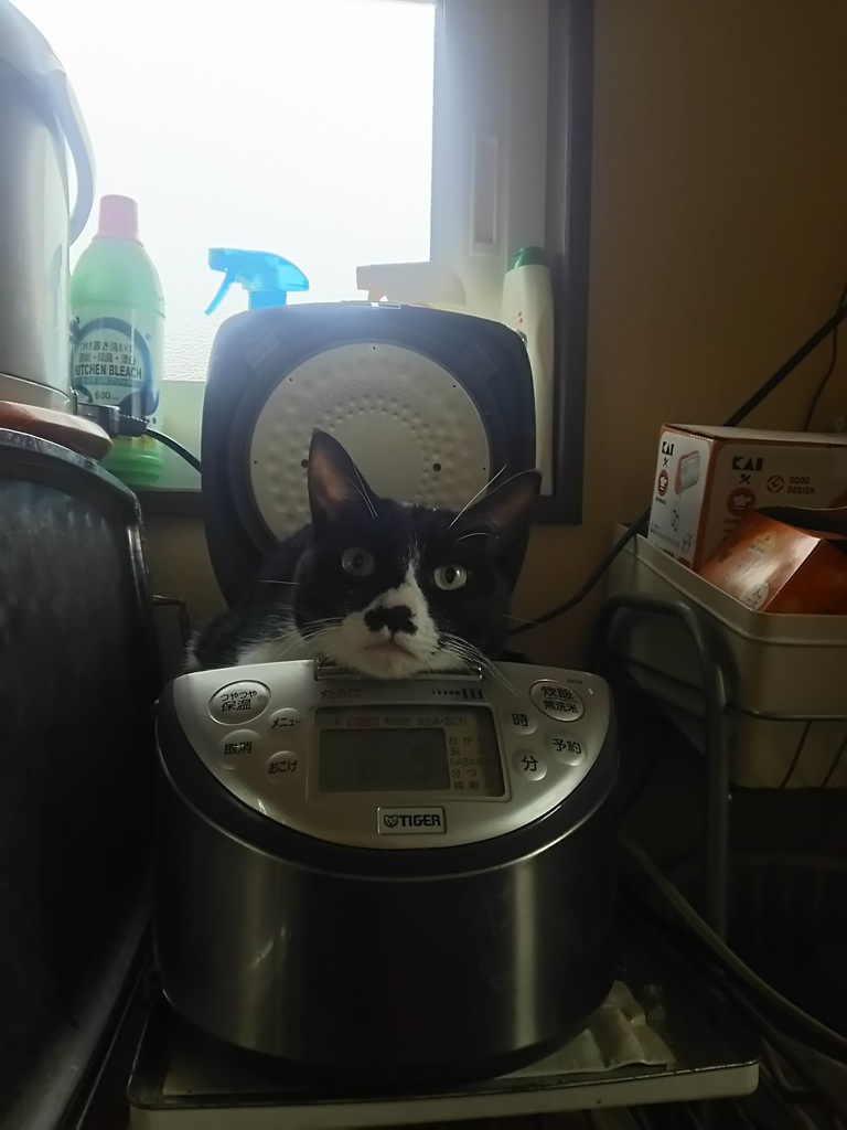 炊きたて