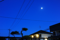 庭撮り