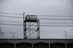 DSC_7323