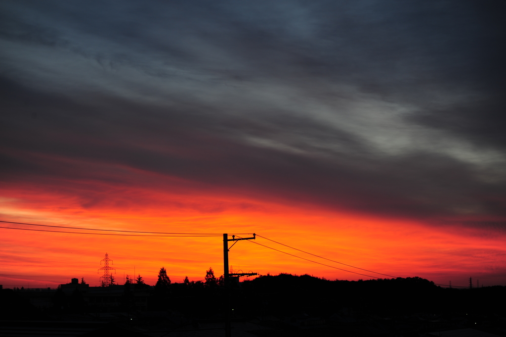 DSC_7394