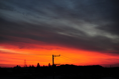 DSC_7394