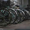 自転車の集会