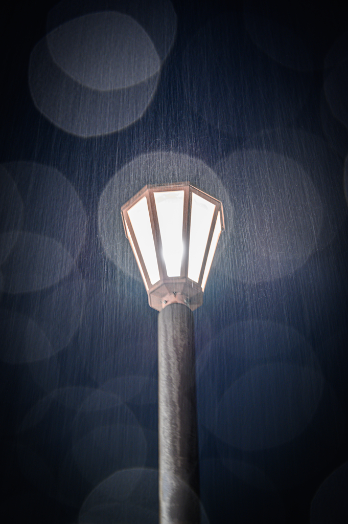 雨にうたれて