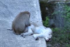 まったり