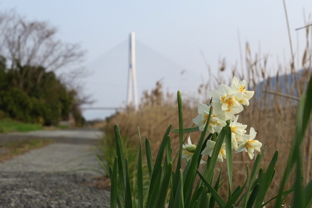 多々羅大橋冬景色