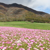 秋の蒜山高原