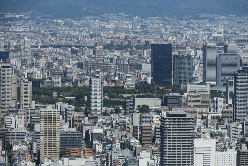 雲の上から