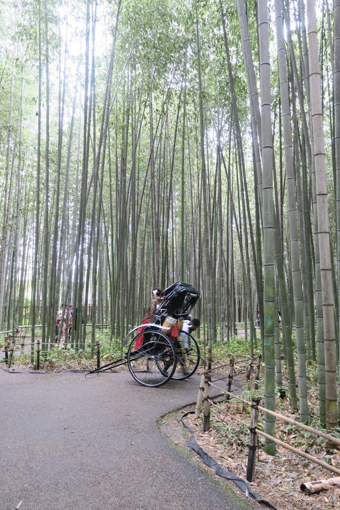 嵐山　竹林の小径