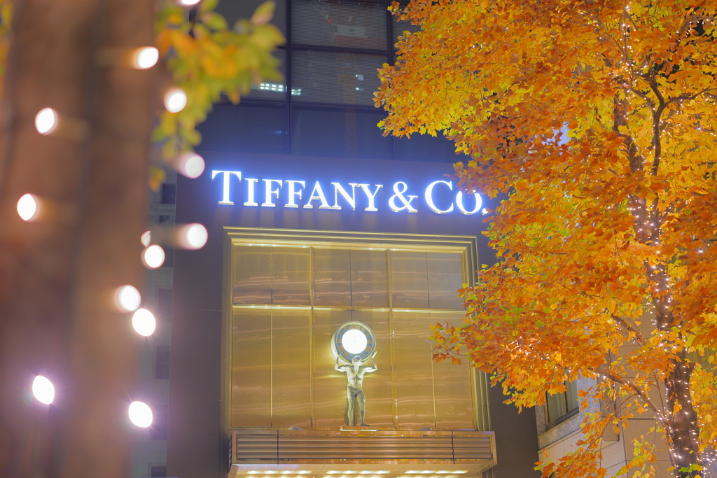 TIFFANY & CO.
