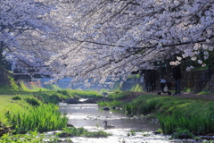 春の小川