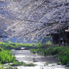 春の小川