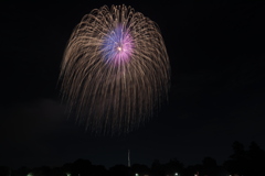 昭和記念公園花火大会