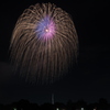 昭和記念公園花火大会
