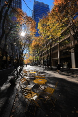 昼下がりの街路