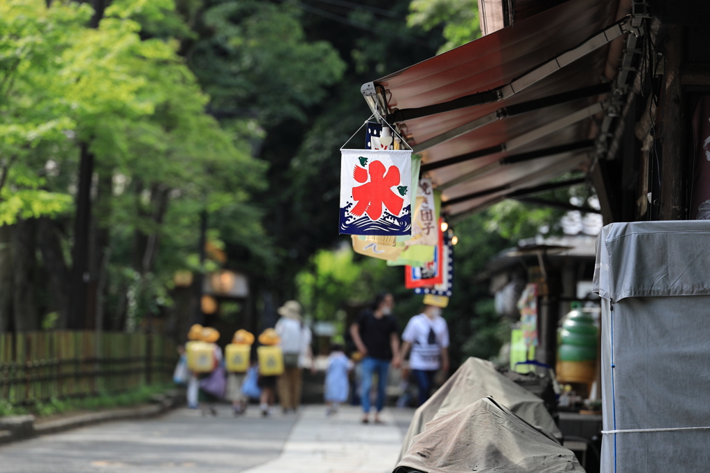 通学路と氷