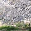 桜の小径