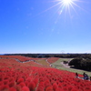 色づきのある風景