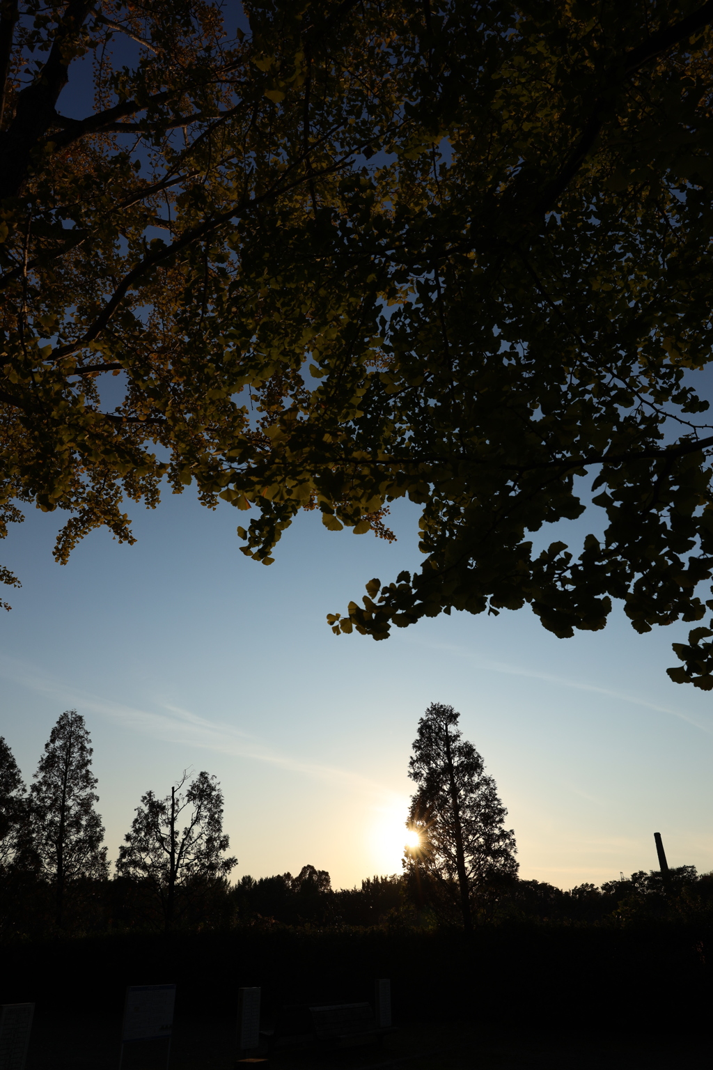 秋の夕暮れ