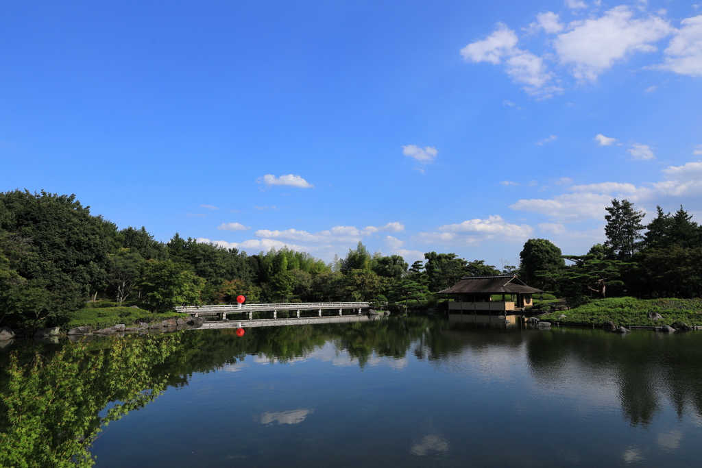 青空に