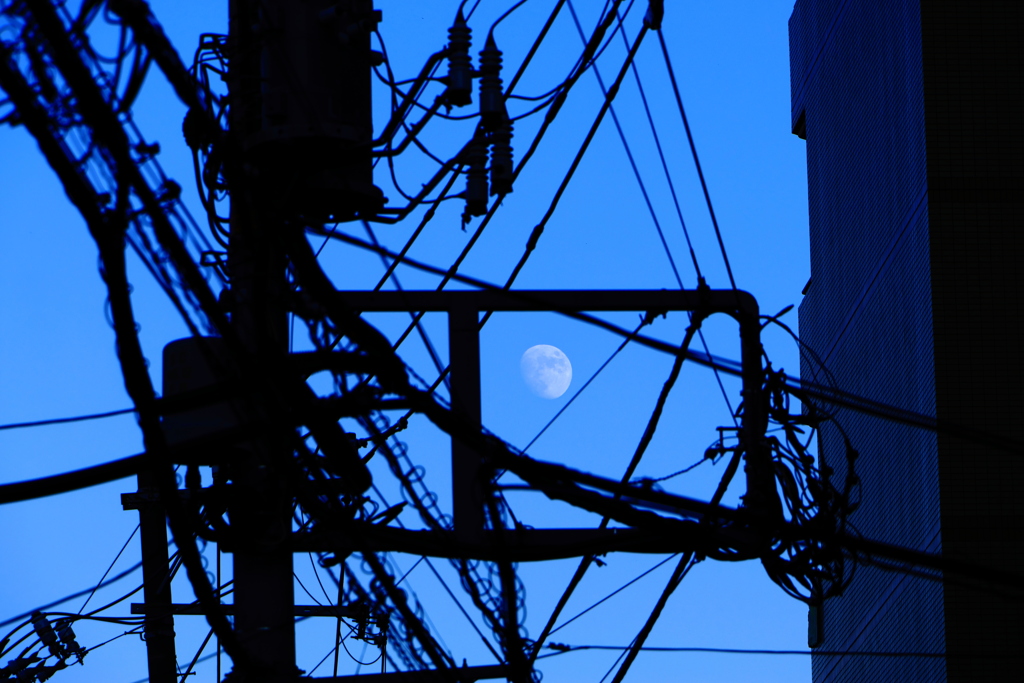 居場所
