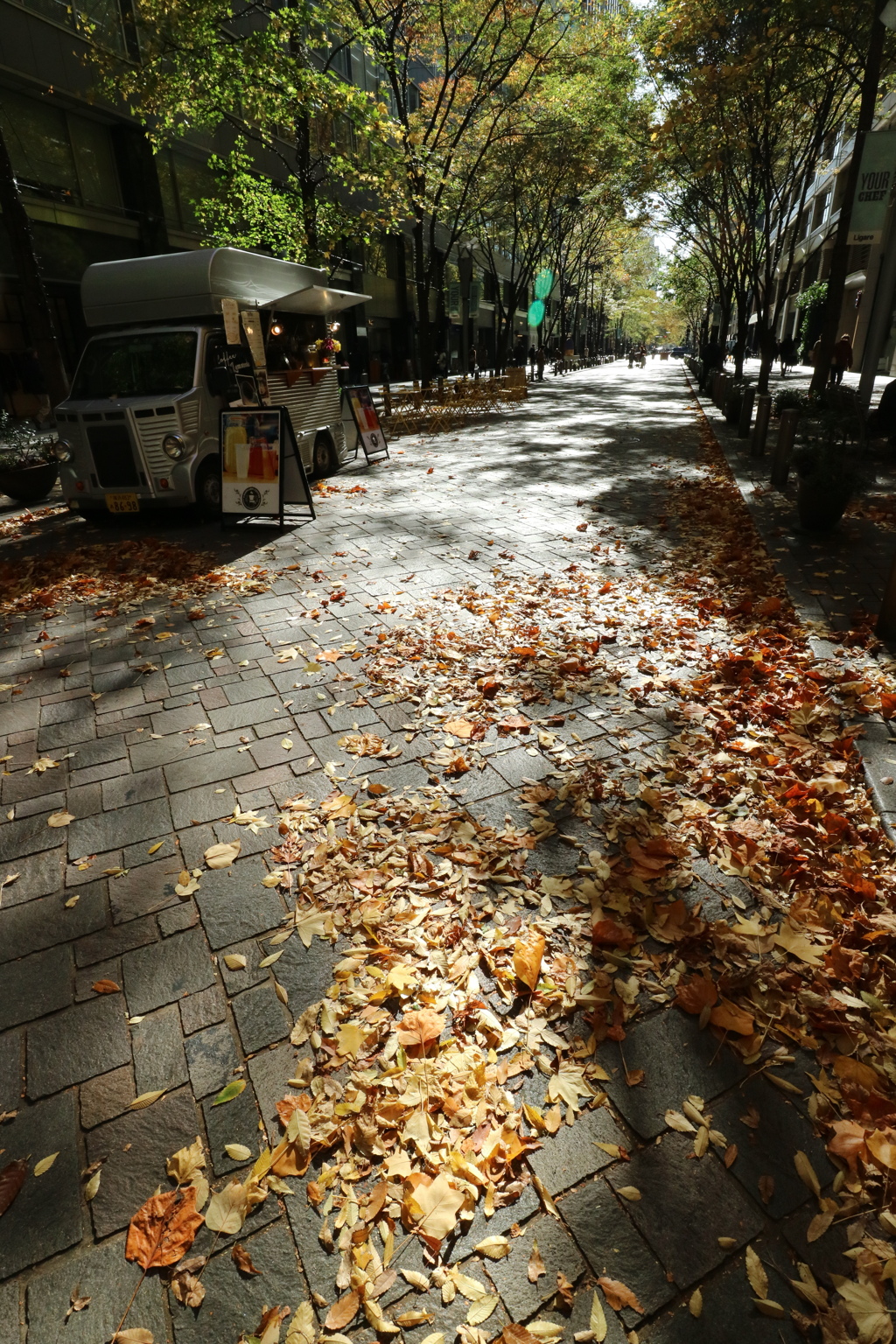 昼下がりの街路