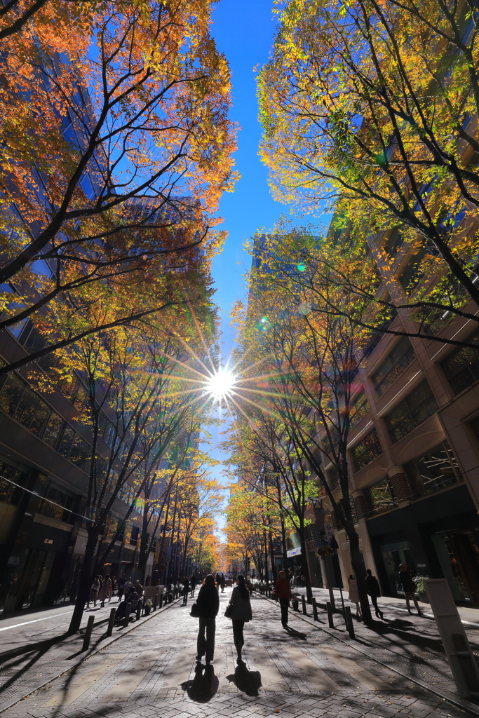 昼下がりの街路
