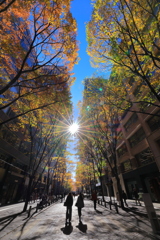 昼下がりの街路