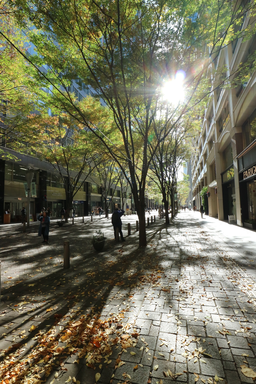 昼下がりの街路