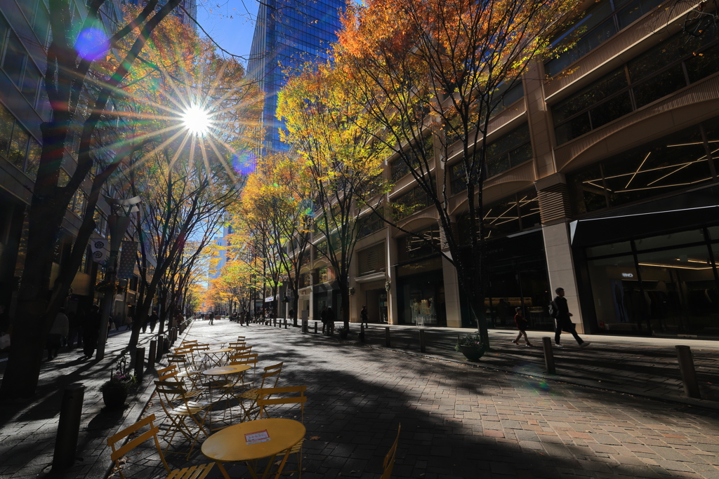 昼下がりの街路