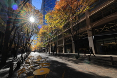 昼下がりの街路