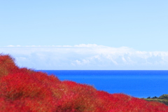 水平線とほうき草