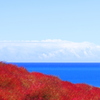 水平線とほうき草