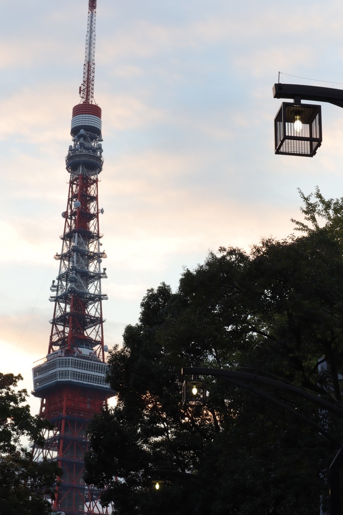 東京タワー
